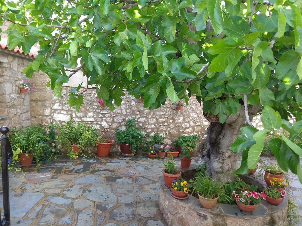 Apartamentos Rurales Tia Maria Mata de Alcantara ภายนอก รูปภาพ